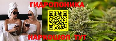jwh Ачхой-Мартан