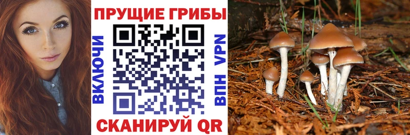 это какой сайт Видное Галлюциногенные грибы мицелий хочу наркоту