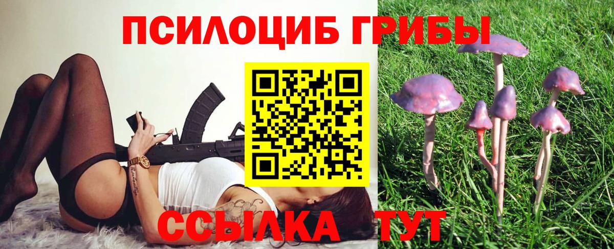 Псилоцибиновые грибы Psilocybe Видное